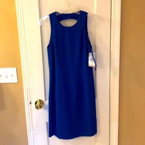 NWT amazing dress